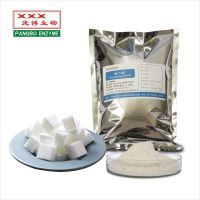 糖化酶 葡糖淀粉酶