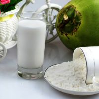 海南椰子粉 椰乳粉椰汁粉国产椰浆粉海南本地生产喷雾干燥工艺