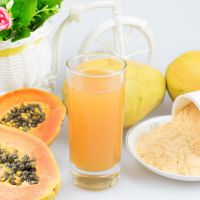 双椰木瓜粉 果蔬代餐粉原料 喷雾干燥工艺 鲜果生产 粉质细腻