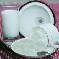 厚椰乳粉 双椰椰浆粉 海南本地生产 固体饮料冰淇淋代餐粉原料