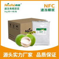 南派NFC速冻椰浆速冻青椰原浆奶茶发酵酸奶原料