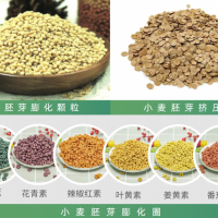 小麦胚芽膨化制品