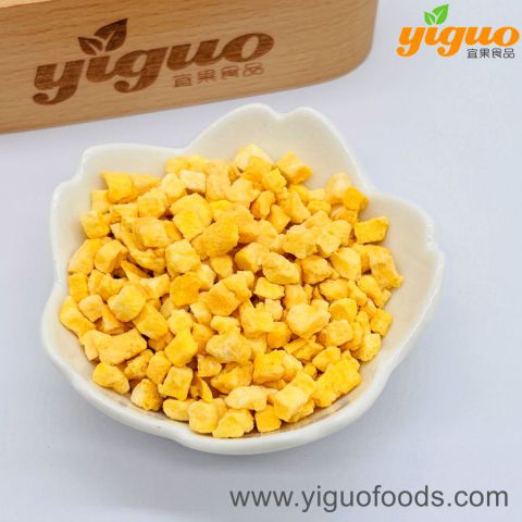 青岛宜果冻干出口工厂冻干水果冻干芒果丁、芒果片、芒果碎、芒果粉烘焙饮品麦片酸奶盖