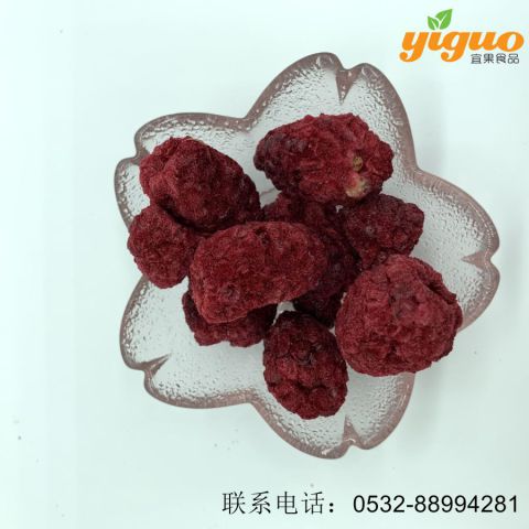 青岛宜果冻干出口工厂冻干水果冻干黑莓烘焙饮品麦片酸奶盖