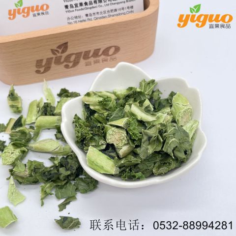青岛宜果冻干出口工厂冻干蔬菜冻干羽衣甘蓝段、羽衣甘蓝粉烘焙饮品麦片酸奶盖