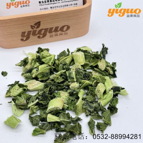 青岛宜果冻干出口工厂冻干蔬菜冻干羽衣甘蓝段、羽衣甘蓝粉烘焙饮品麦片酸奶盖