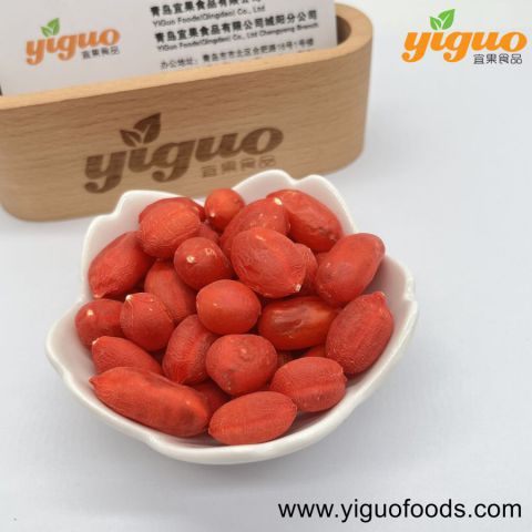 青岛宜果冻干出口工厂冻干特色产品冻干枸杞烘焙饮品麦片酸奶盖