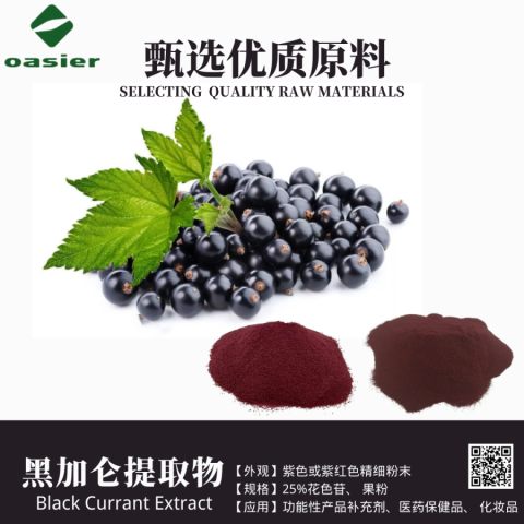 黑加仑提取物 黑加仑粉