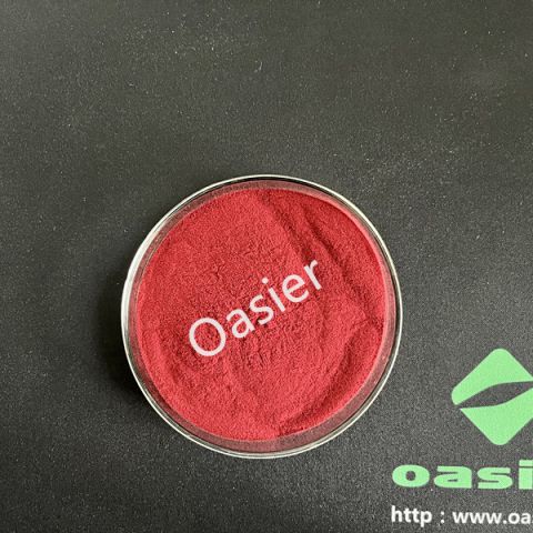 欧泽生物 接骨木提取物4%多酚 4:1  接骨木速溶粉 库存现货