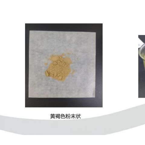 金顶侧耳浓缩粉（含麦角硫因1%）日本进口