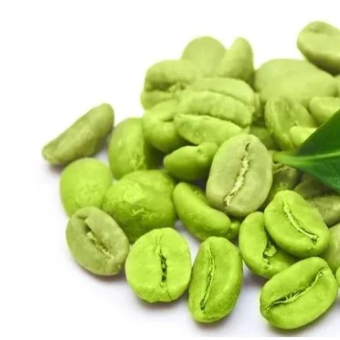 绿咖啡粉印度进口