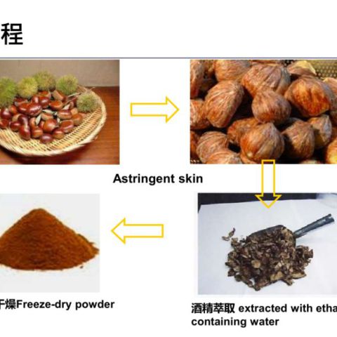 栗子粉-日本进口