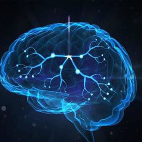 N-乙酰神经氨酸