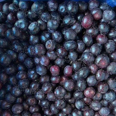 冷冻蓝莓 速冻蓝丰蓝莓 烘焙水果食材 工厂直发