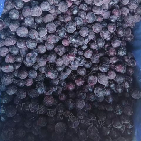 速冻北陆蓝莓 冷冻蓝莓 冻干水果果酱果泥冰点水果蓝莓原料