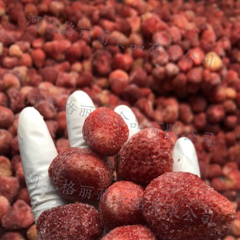 速冻哈尼 冷冻哈尼 果酱果泥饮料烘焙甜品用 水果原料 工厂直发