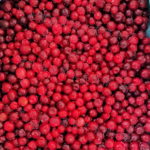 冷冻红豆越桔 速冻红豆果 饮品店果汁果酱果泥水果原料 工厂发货