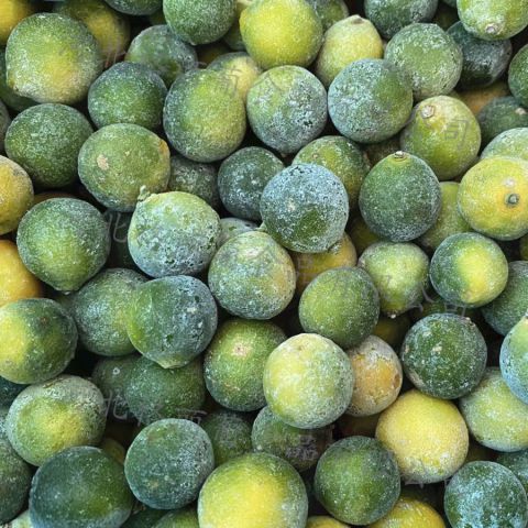 冷冻青金桔 速冻调味桔子 惨痛饮品用