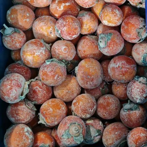 速冻柿子 冷冻柿子 冰点柿子 柿子冰淇淋 工厂直发