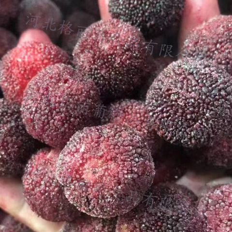 速冻带核杨梅 东魁杨梅冷冻水果 拌酸奶 奶茶店用餐厅用 工厂直发