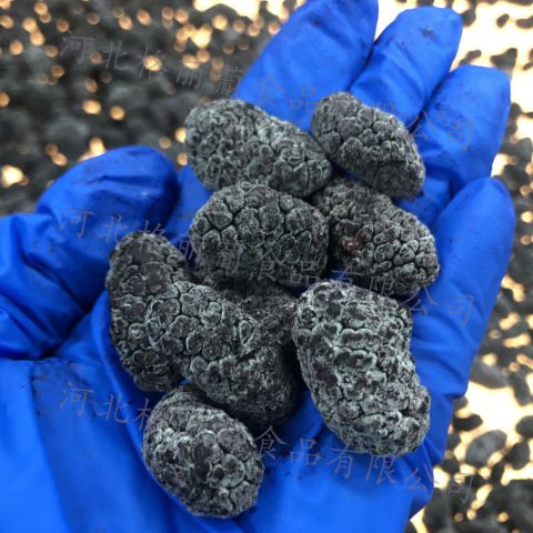 冷冻大什桑葚 速冻桑椹去蒂免洗 饮品用 烘焙用 果汁果酱水果原料工厂直发