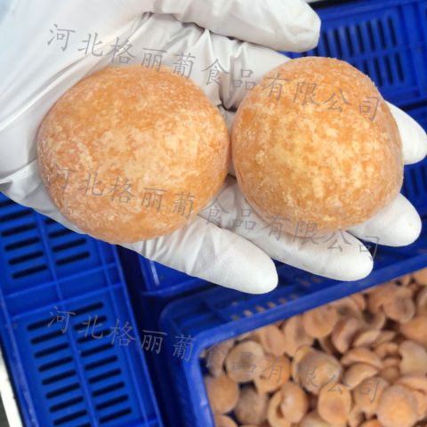 冷冻杏 速冻金太阳杏肉去核去皮 饮品用 烘焙用 果汁果酱水果原料工厂直发