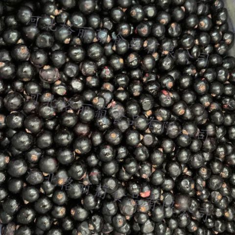 冷冻黑加仑 速冻黑加仑 烘焙用饮品用 规格可定制 工厂直发