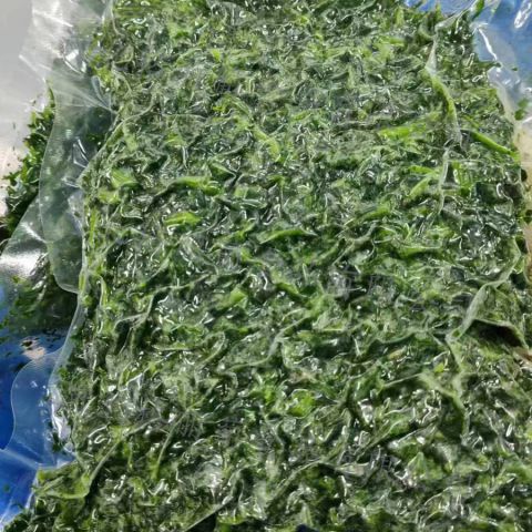 速冻苜蓿 免洗免切免择 冷冻苜蓿碎 半成品净菜 餐厅用 食堂用 工厂直发