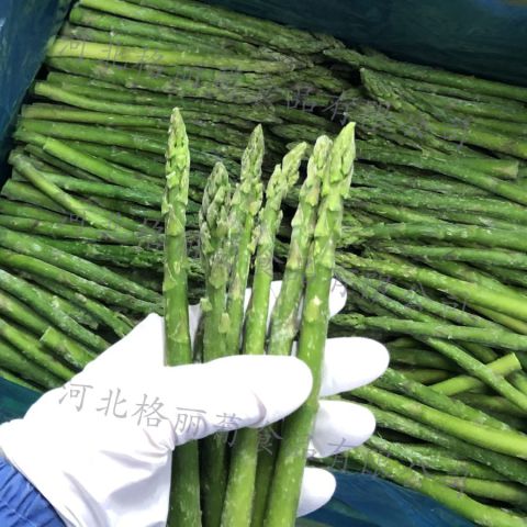 速冻绿芦笋 免洗免切免择 冷冻绿芦笋 半成品净菜 餐厅用 食堂用 工厂直发