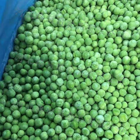 免洗免切冷冻青豆 蔬菜 速冻青豆 半成品净菜 餐厅用快餐店用 规格可定制 工厂直发