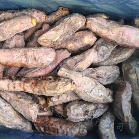 免洗免烤冷冻蜜薯 蔬菜 速冻蜜薯 半成品净菜 餐厅用快餐店用 规格可定制 工厂直发