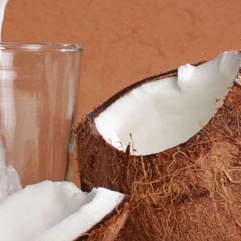 冷冻椰浆 冷冻椰肉汁 印尼源头工厂 厂家直供