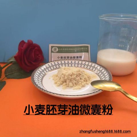 小麥胚芽油微囊粉(HM-WGOP)天驕凱瑞瑪生產(chǎn)廠家