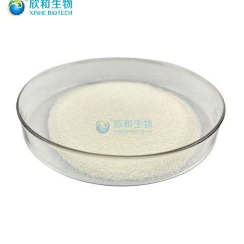 Vegalgae® 有机DHA藻油粉末 10% 二十二碳六烯酸(DHA)粉末 专利产品