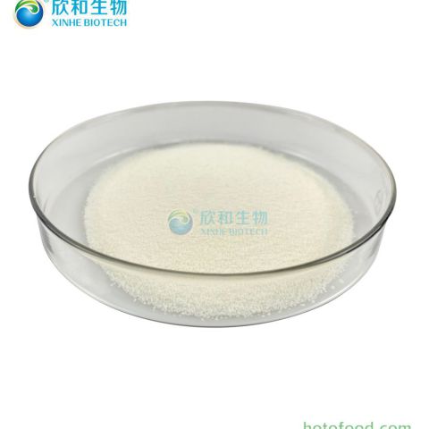 Vegalgae? 有機DHA藻油粉末 20% 欣和生物 生產廠家