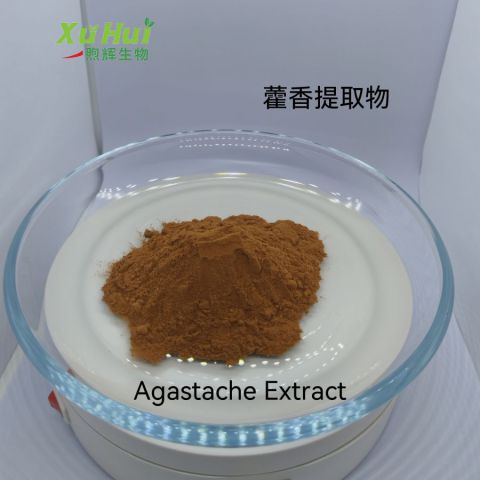 土藿香 藿香提取物
