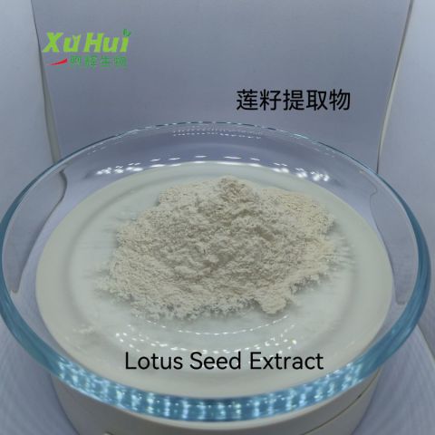 莲子提取物 莲子粉