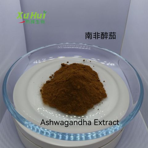 印度人参 南非醉茄提取物