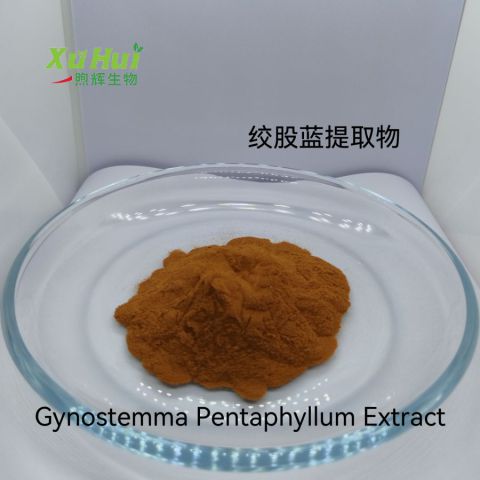 绞股蓝皂甙 绞股蓝提取物  绞股蓝  五叶参 七叶胆