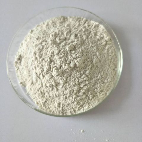 供酪蛋白磷酸肽