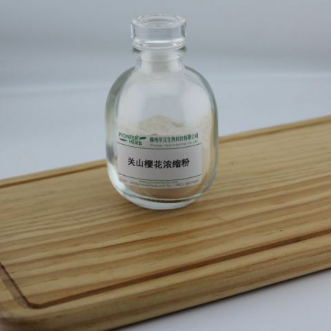 关山樱花提取物 关山樱花粉