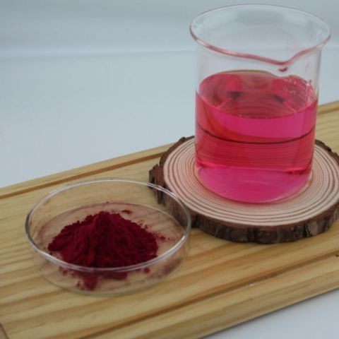 胭脂虫红及其铝色淀 天然色素